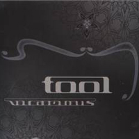 Tool - Vicarious (Single)