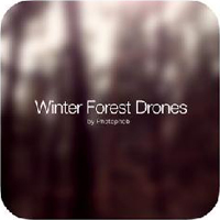 Photophob - Winter Forest Drones