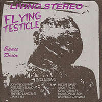Flying Testicle - Space Desia
