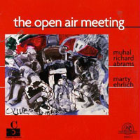 Marty Ehrlich - The Open Air Meeting (split)