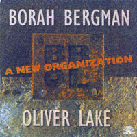 Borah Bergman - A New Organisation