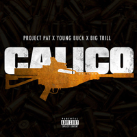 Project Pat - Calico (Single)