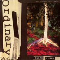 Duran Duran - Singles Box Set 1986..1995 (CD 10 - Ordinary World)
