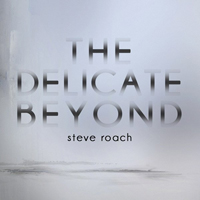 Steve Roach - The Delicate Beyond