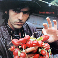 Robyn Hitchcock & The Venus 3 - Invisible Hitchcock (Reissue)