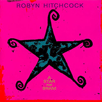 Robyn Hitchcock & The Venus 3 - A Star For Bram