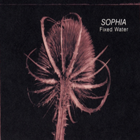Sophia (GBR) - Fixed Water