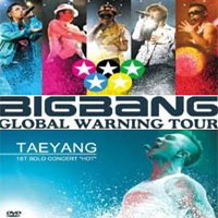 BigBang (KOR) - 2008 Global Warning tour Concert (DVD)