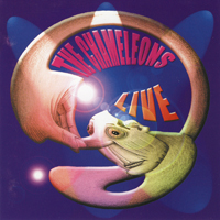 Chameleons - Live At The Academy (CD 2)