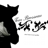 Tom Brosseau - What I Mean to Say Is Goodbye