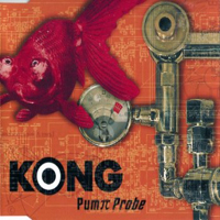 Kong - Pump Probe (Single)