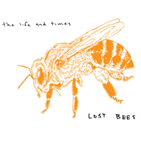 Life And Times - Lost Bees