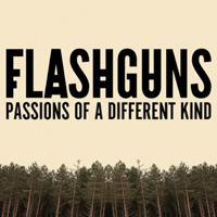 FlashGuns - Passions Of A Different Kind