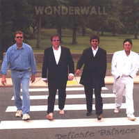 Wonderwall - Delicate Balance