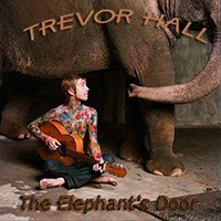 Trevor Hall - The Elephant's Door