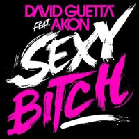 David Guetta - Sexy Bitch (Remixes And Edits) (Split)
