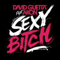 David Guetta - Sexy Bitch - Sexy Chick