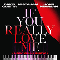 David Guetta - If You Really Love Me (How Will I Know) (feat. MistaJam, John Newman) (Single)