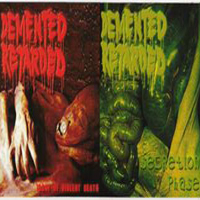 Demented Retarded - Secretion Phase (trax 01-12, '2006) / Irony Of Violent Death (trax 13-27, '2003)