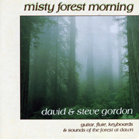 David & Steve Gordon - Misty Forest Morning