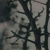 Objekt4 - Mindscars (CD 2): Realms Of Rust, Domains Of Decay