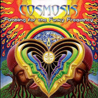 Cosmosis (GBR) - Fumbling For The Funky Frequency