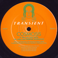 Cosmosis (GBR) - Sanyacid & Morphic Resonance (12'' Single)