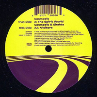 Cosmosis (GBR) - The Spirit World And Visitors (12'' Single)