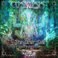 Cosmosis (GBR) - The Other Side (Astro-D Remix) [Single]