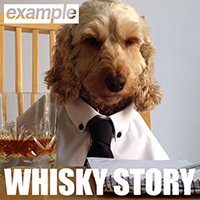 Example (GBR) - Whisky Story (Single)