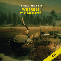Sivert Hoyem - Where Is My Moon? (EP)