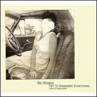 Bic Runga - Try To Remember Everything
