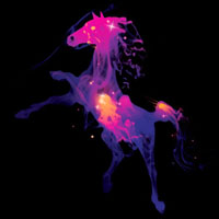 Muse - Knights Of Cydonia (EP) [Re-Issue 2009]