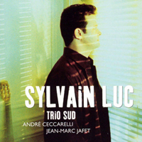 Sylvain Luc - Trio Sud