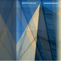 Sintetic-Collage - Assisted Residence