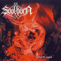 Soulburn - Feeding On Angels