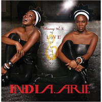 India Arie - Testimony Vol. 2: Love & Politics