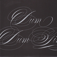 Dum Dum Girls - Coming Down (Single)
