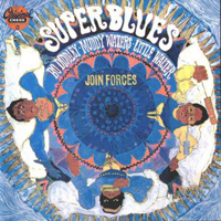 Muddy Waters - Super Blues