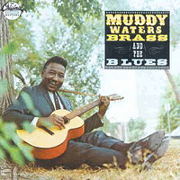 Muddy Waters - Brass & The Blues