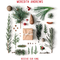 Meredith Andrews - Receive Our King