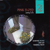 Pink Floyd - Learning To Fly (CDS)