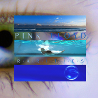 Pink Floyd - A Tree Full Of Secrets (CD 10)