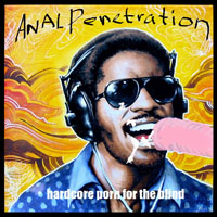 Anal Penetration - Hardcore Porn For The Blind