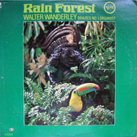 Walter Wanderley - Rain Forest