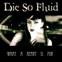 Die So Fluid - What A Heart Is For (Single)