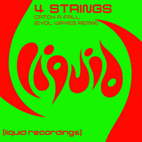 4 Strings - Catch A Fall (Evol Waves Remix) [Single]