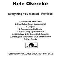 Kele - Everything You Wanted (Remixes)