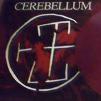 Cerebellum - Cerebellum