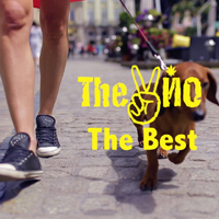 The  - The Best (Single)